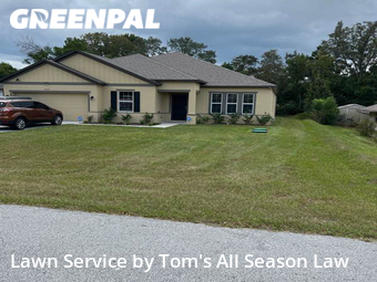 Grass Cut nearby Spring Hill, FL, 