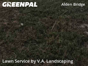 Lawn Carein The Woodlands,77382,Lawn Mow by V.A. Landscaping, work completed in Dec , 2025
