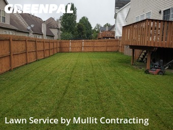 Grass Cut nearby Lexington, KY, 