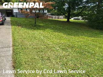 Yard Mowing nearby Knoxville, NC, 