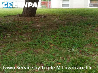 Lawn Mow nearby Liberty, MO, 