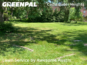 Lawn Mowing nearby Trenton, NJ, 