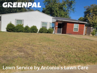 Lawn Maintenancein Dallas,75241,Lawn Mowing Service by Antonio's Lawn Care, work completed in Nov , 2025