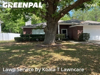 Grass Cut nearby Jacksonville, FL, 