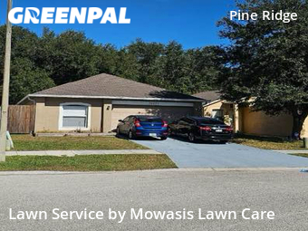 Lawn Mow nearby Wesley Chapel, FL, 