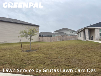 Lawn mowed in Marion, 78124