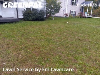 Grass Cut nearby Grand Rapids, MI, 