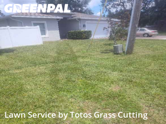 Yard Cuttingin Ocoee,34761,Lawn Mow by Totos Grass Cutting, work completed in Nov , 2025