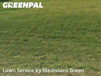 Weekly Mowing in West Palm Beach, 33413, Weekly Mowing by Madissons Green, work completed in Dec , 2025