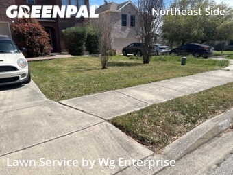 Lawn Mow nearby Schertz, TX, 