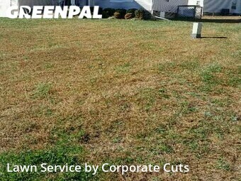 Lawn Cut nearby North Chesterfield, VA, 
