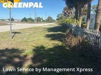 Lawn Mow nearby Punta Gorda, FL, 