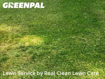 Lawn Cut nearby Charlotte, NC, 