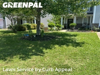 Lawn Servicein Concord,28025,Lawn Service by Curb Appeal, work completed in Jun , 2026