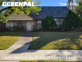 Lawn Mowingin Mesquite,75149,Lawn Cut by Antonio's Lawn Care, work completed in Jan , 2026