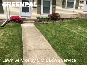 Yard Cutting nearby Carney, MD, 