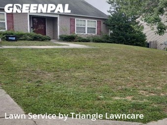 Lawn Mowing Service nearby Raleigh, NC, 
