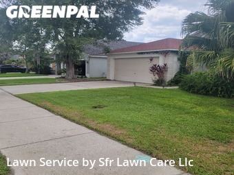 Lawn Maintenance nearby Oldsmar, FL, 