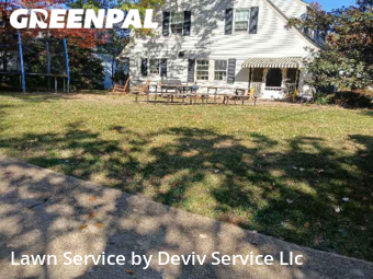 Yard Management in University Park, 20782, Yard Care by Deviv Service Llc, work completed in Oct , 2025