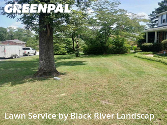 Yard Cutting nearby Columbia, SC, 