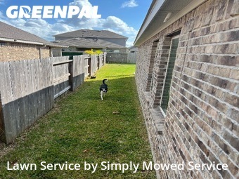 Lawn Cutting in League City, 77573, Lawn Cutting by Simply Mowed Service, work completed in 19 Nov, 2025 