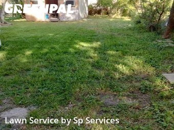 Yard Cutting nearby Corpus Christi, TX, 