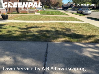 Yard Cutting nearby Detroit, MI, 