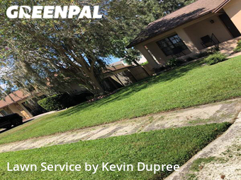 Lawn Mow nearby Tampa, FL, 