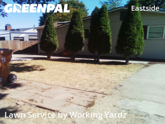 Landscaping In Tacoma,98404,Landscaping Renovation by Working Yardz, work completed in Nov , 2025