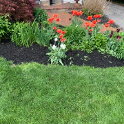 local-lawn-maintenance-contractors-in-Blue Bell-PA