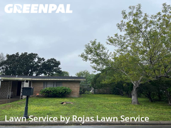 Lawn Mowing nearby San Juan, TX, 