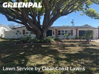 Lawn Cut nearby Holiday, FL, 