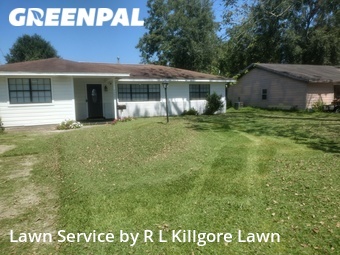 Yard Cutting nearby Beaumont, TX, 