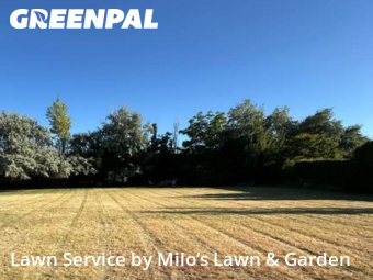 Yard Upkeep in Kennewick, 99337, Grass Care by Milo’s Lawn & Garden, work completed in Nov , 2025