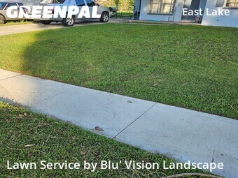 Lawn Mow nearby Tampa, FL, 