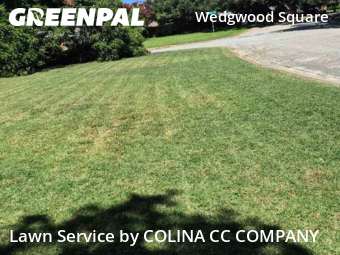 Lawn Service nearby Fort Worth, TX, 