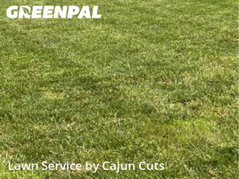 Grass Cutting nearby Walterhill, TN, 