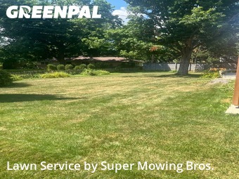 Lawn Mow nearby Lansing, MI, 