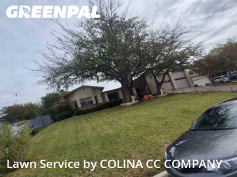 Backyard Landscaping In Fort Worth,76135,Landscapers by COLINA CC COMPANY, work completed in Dec , 2025