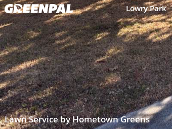 Landscaping Renovation In Tampa,33604,Landscape Design by Hometown Greens , work completed in Nov , 2025