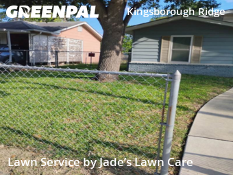 Yard Cutting nearby San Antonio, TX, 