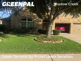 Lawn Cutin Pearland,77584,Lawn Maintenance by Prizel Lawn Services, work completed in Jun , 2026