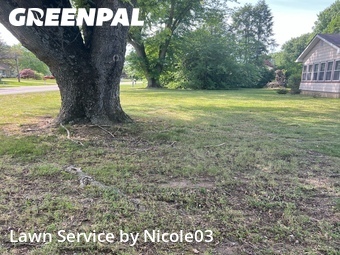 Lawn mowed in Dover, 19904