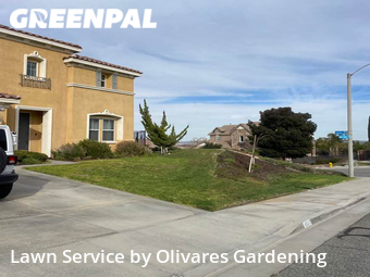 Grass Cut nearby Palmdale, CA, 