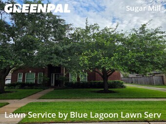 Lawn Cut nearby Sugar Land, TX, 