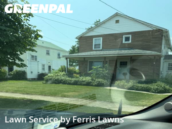 Grass Cut nearby Sloan, NY, 