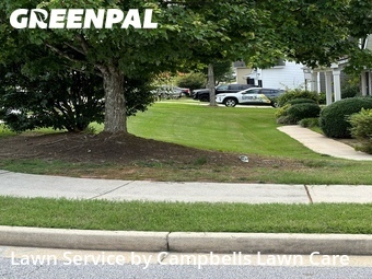 Yard Mowing nearby Palmetto, GA, 
