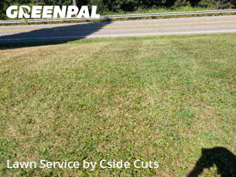 Turf Services in Glenshaw, 15101, Property Maintenance by Cside Cuts, work completed in Oct , 2025