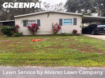 Lawn Carein Winter Springs,32708,Yard Cutting by Alvarez Lawn Company, work completed in Dec , 2025