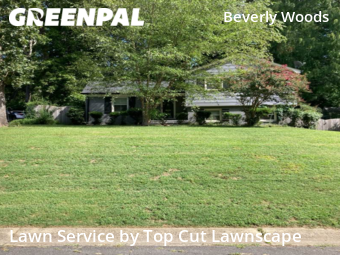 Yard Cutting nearby Charlotte, NC, 